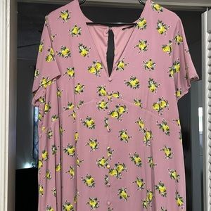 Pink dress with lemons. Originally from Torrid. I’ve worn it twice.